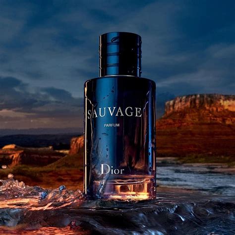 dior sauvage homme 60ml|Dior Sauvage cheapest price.